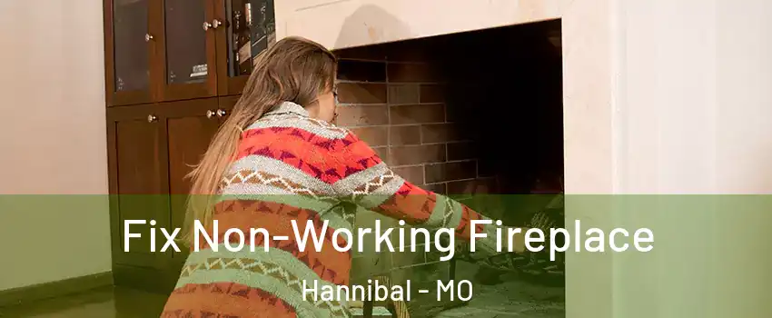  Fix Non-Working Fireplace Hannibal - MO