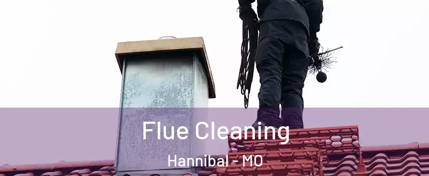  Flue Cleaning Hannibal - MO