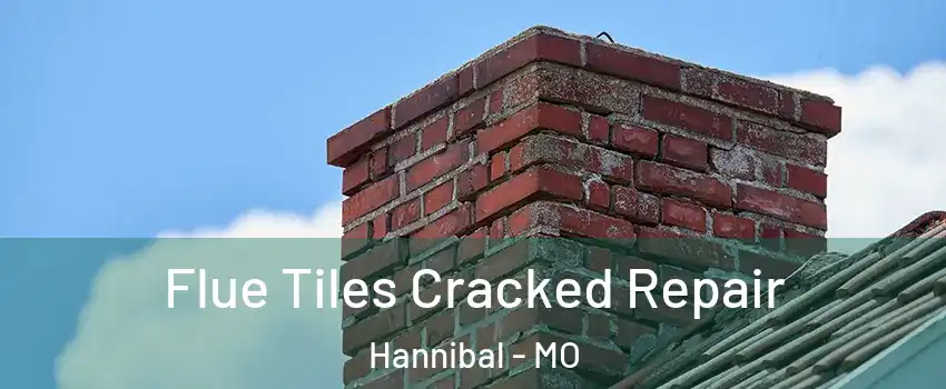  Flue Tiles Cracked Repair Hannibal - MO
