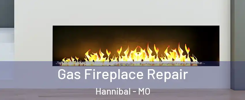  Gas Fireplace Repair Hannibal - MO