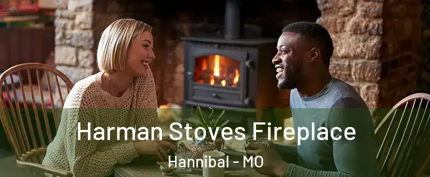  Harman Stoves Fireplace Hannibal - MO