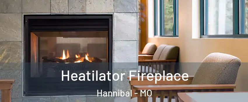  Heatilator Fireplace Hannibal - MO