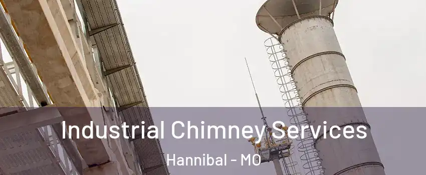  Industrial Chimney Services Hannibal - MO