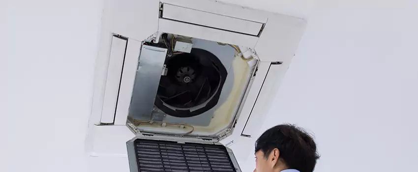 Benefits of Professional Air Duct Cleaning in Hannibal, Missouri