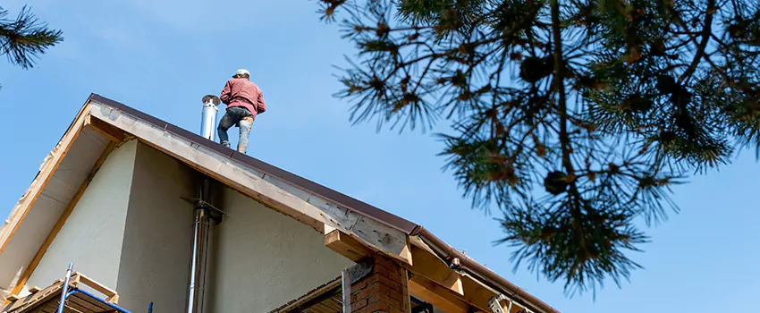 Birds Removal Contractors from Chimney in Hannibal, MO