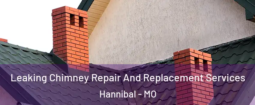  Leaking Chimney Repair And Replacement Services Hannibal - MO