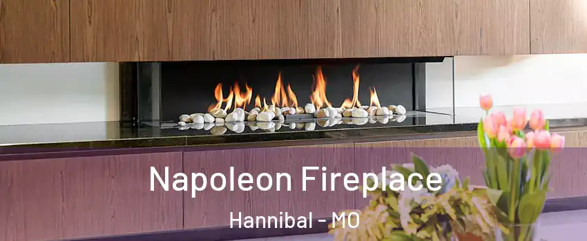  Napoleon Fireplace Hannibal - MO