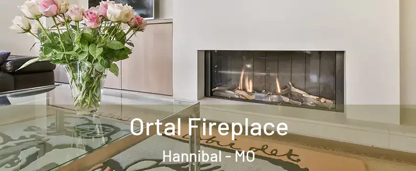  Ortal Fireplace Hannibal - MO