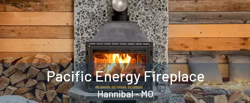  Pacific Energy Fireplace Hannibal - MO