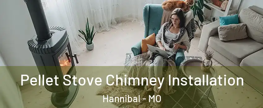  Pellet Stove Chimney Installation Hannibal - MO