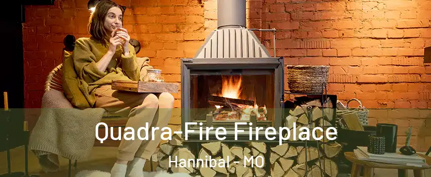  Quadra-Fire Fireplace Hannibal - MO