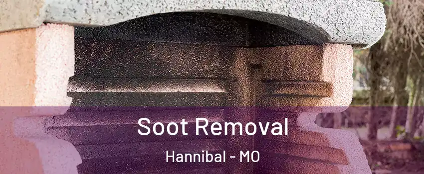  Soot Removal Hannibal - MO