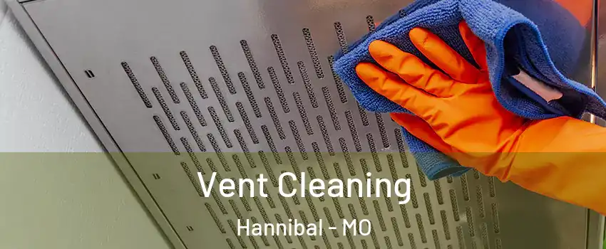 Vent Cleaning Hannibal - MO