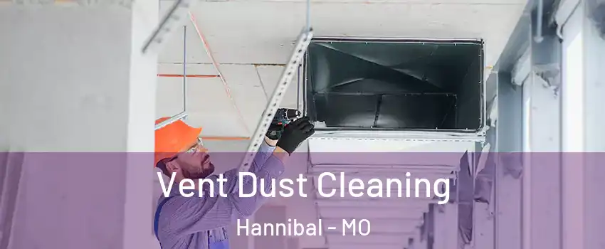  Vent Dust Cleaning Hannibal - MO
