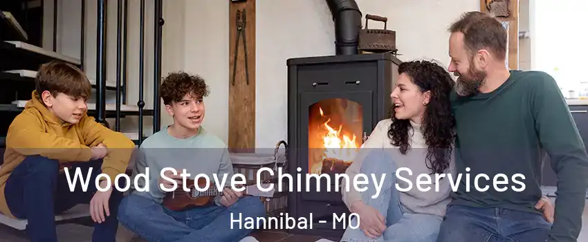  Wood Stove Chimney Services Hannibal - MO