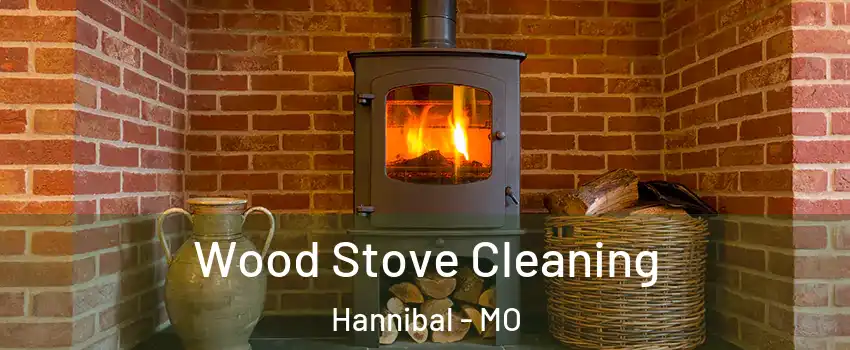  Wood Stove Cleaning Hannibal - MO
